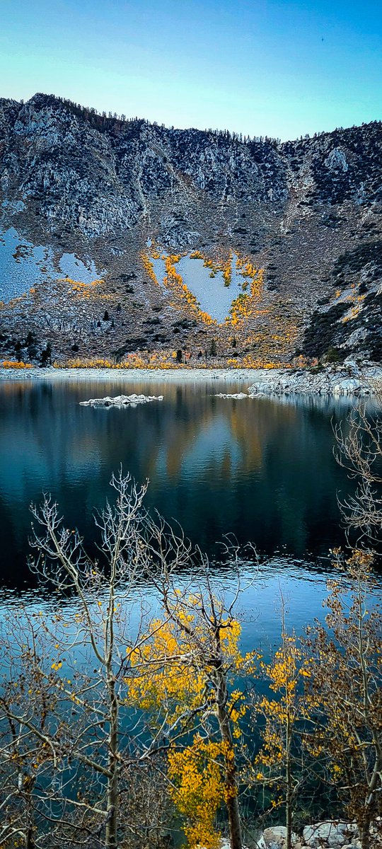 CalifFallColor's tweet image. There's a heart of Quaking aspen hidden in the Eastern Sierra. Find out where at CaliforniaFallColor.com. @visitcaliforn1a @InyoCounty #autumn #autumnleaves #fallcolor #autumntrees #autumn2022 #landscapephotography
