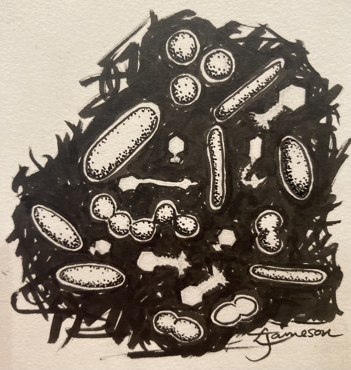 #microber2022 #inktober2022 14 Community: understanding microbial communities through sequencing, effort is focused on bacteria and their functions. Viruses (inc phages), fungi, etc are overlooked, but #phage are vitally important in shaping communities and functions #SciArt