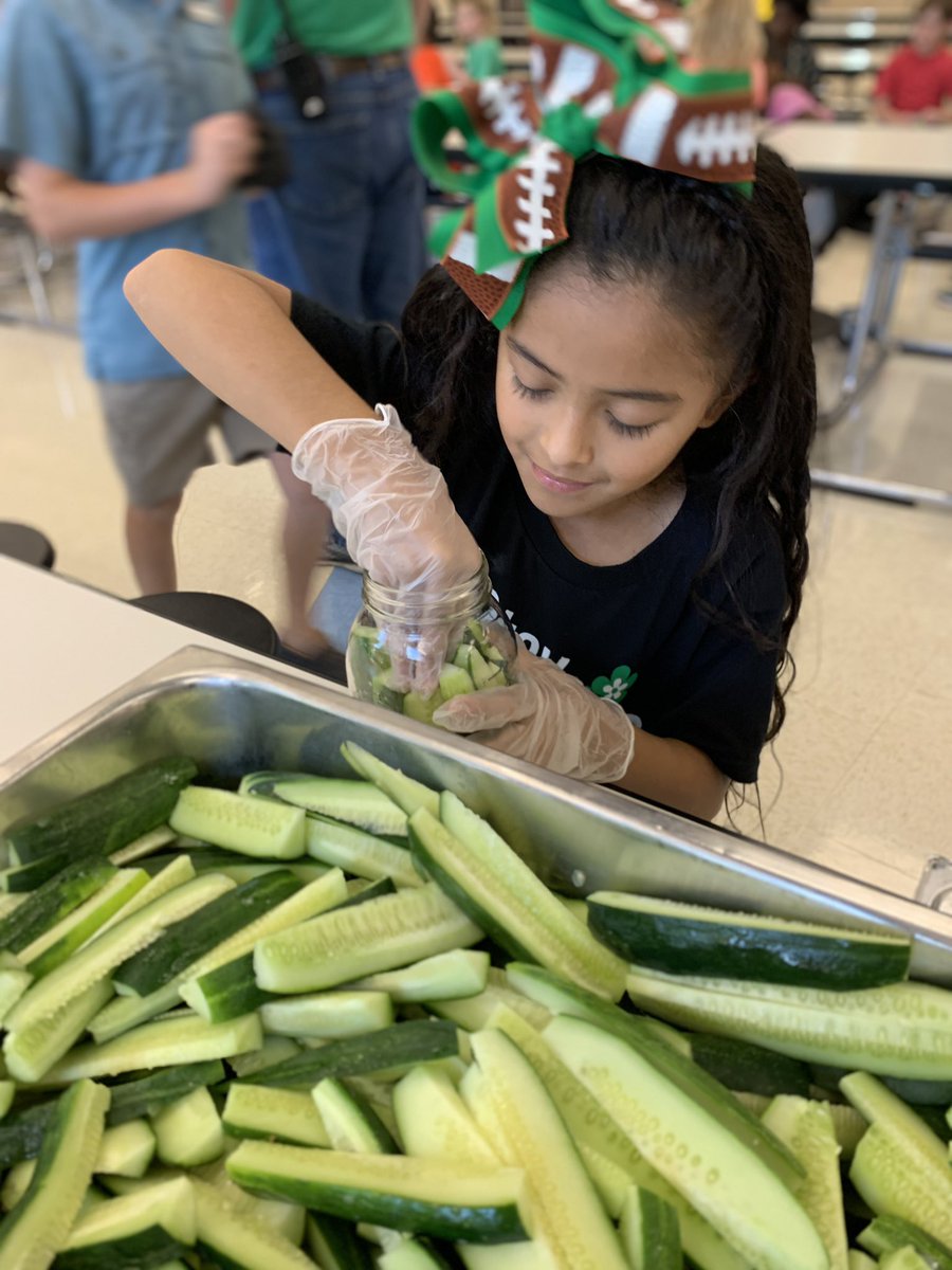 BISDFood's tweet photo. Thank you @AltonElementary 3rd graders for learning with us and using local Texas pickling cucumbers to make pickles! 🥒 We can’t wait to taste these next week! 🧑‍🌾 

@BrenhamISD #FarmFreshTexas #FarmFreshChallenge @TexasDeptofAg https://t.co/IaUjZxmpBb