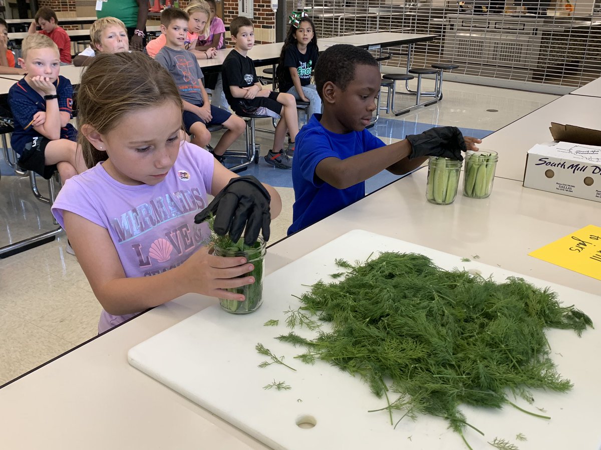 BISDFood's tweet photo. Thank you @AltonElementary 3rd graders for learning with us and using local Texas pickling cucumbers to make pickles! 🥒 We can’t wait to taste these next week! 🧑‍🌾 

@BrenhamISD #FarmFreshTexas #FarmFreshChallenge @TexasDeptofAg https://t.co/IaUjZxmpBb
