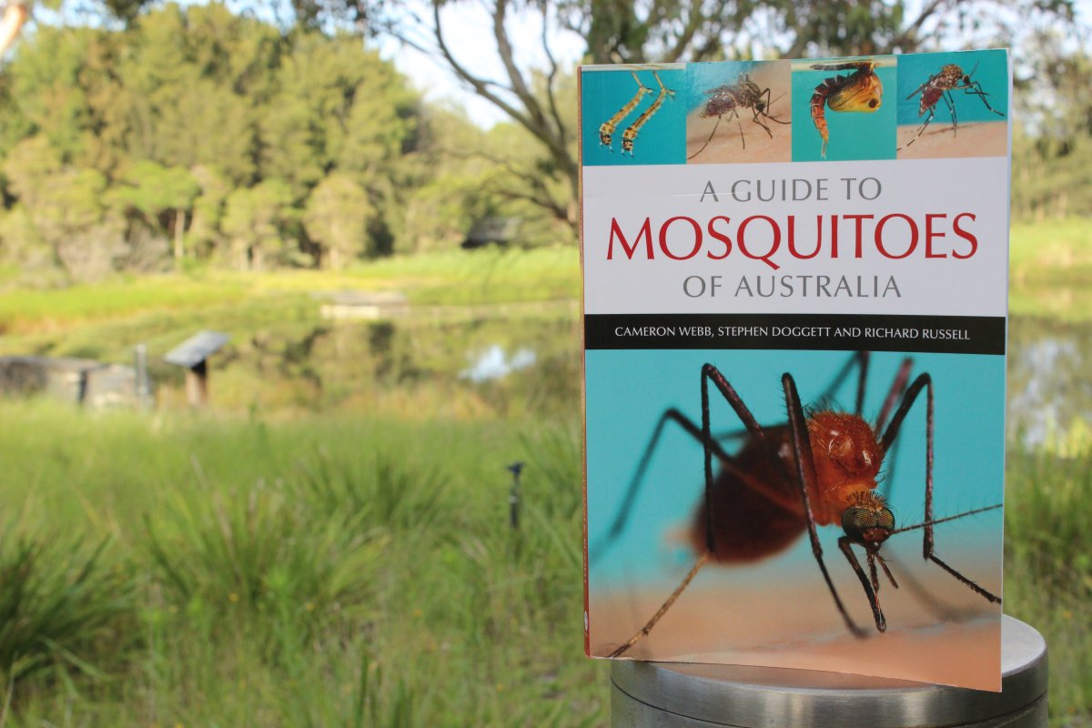 Dr Cameron Webb tweet media