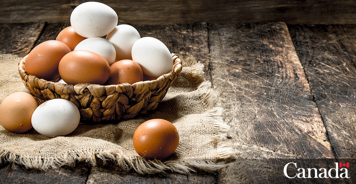 In Canada, we grade #eggs to keep Canadians healthy. That's eggcellent news! #WorldEggDay bit.ly/3iI0Rlh