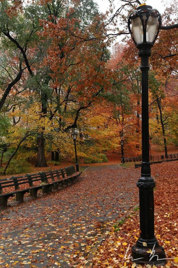 allthingskoze's tweet photo. fall #mood 🍂🧡 https://t.co/Db2ftXN9Sw