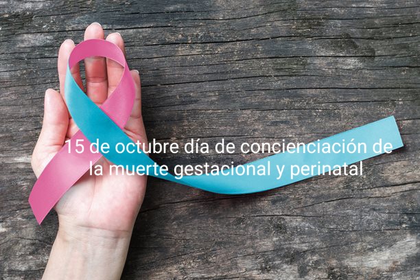 PaoRL8's tweet photo. ¿Conoces este listón?
Este listón representa la muerte gestacional y perinatal.
El 15 de octubre se toma conciencia sobre la muerte de bebés durante el embarazo, parto y en su primer año de vida.
#habloporqueimporta
#15Octubre #duelogestacional #muertegestacionalyperinatal https://t.co/00snjGxhXP