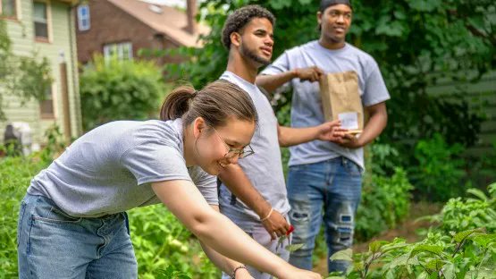 CCE summer interns gathered last week to share their success stories with campus faculty and extension staff. Our interns made big impacts across New York state and we're so proud of what they have achieved! 

bit.ly/3CVajPF