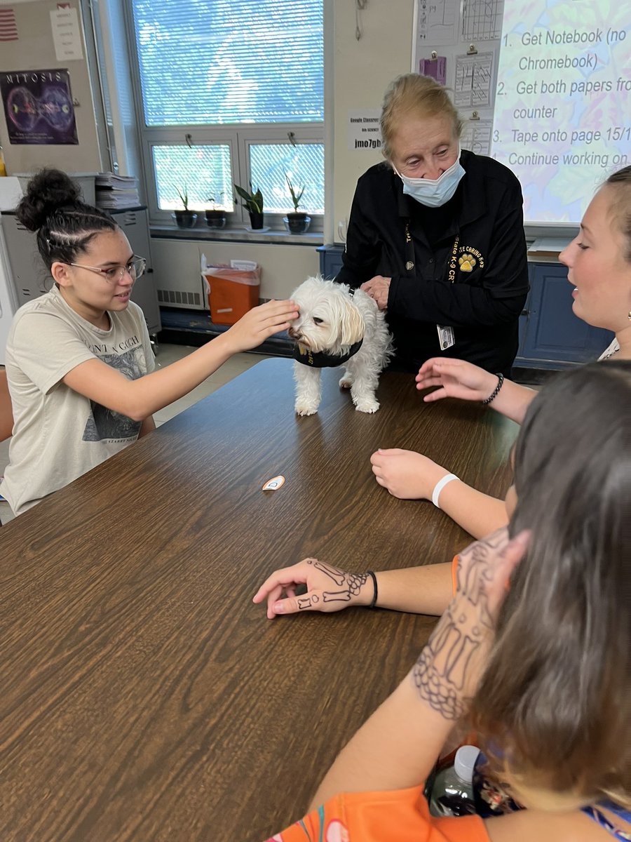 ghs_whitecar's tweet photo. We had some adorable visitors in class today! #collsedu https://t.co/Vmg4BYEV8H