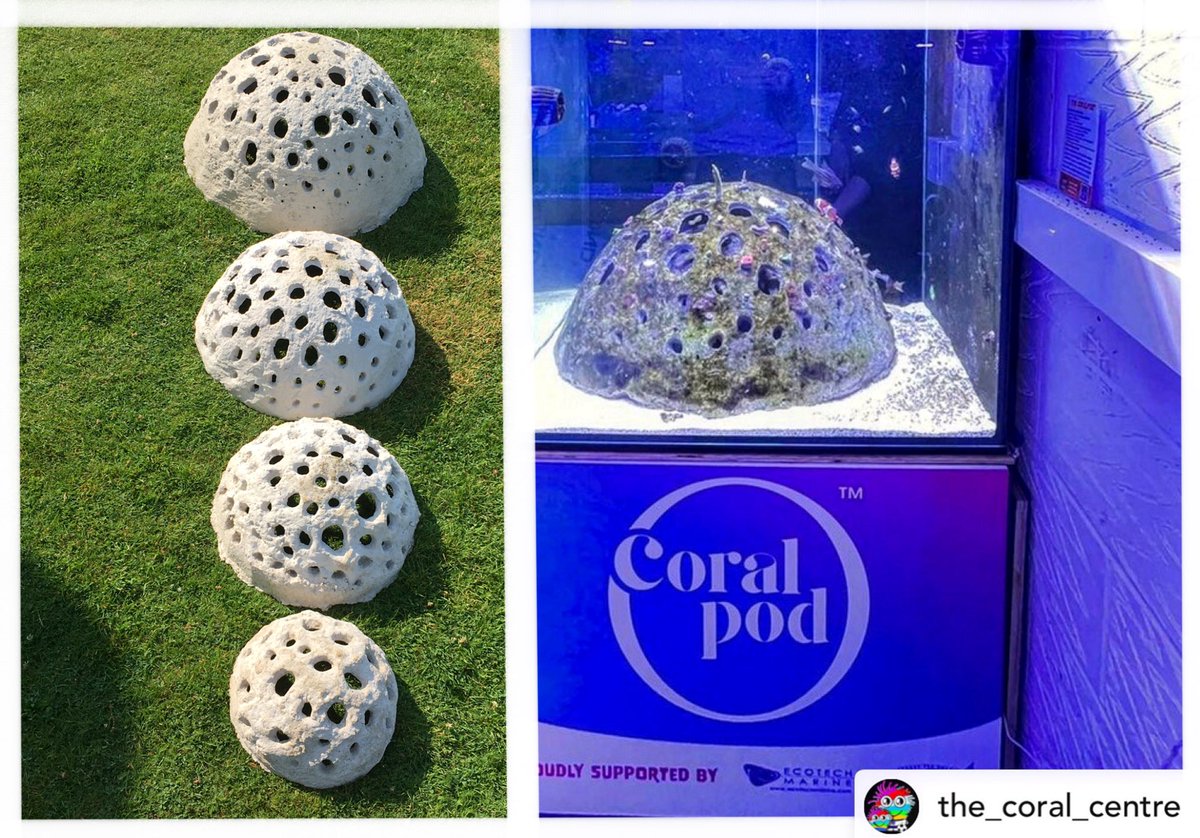 Come to @hullabalooiw 2022 this weekend and find out about our unique CoralPod artificial reef system, and how a hobbyist pursuit has led to brilliant collaboration with @TheCoralCentre .