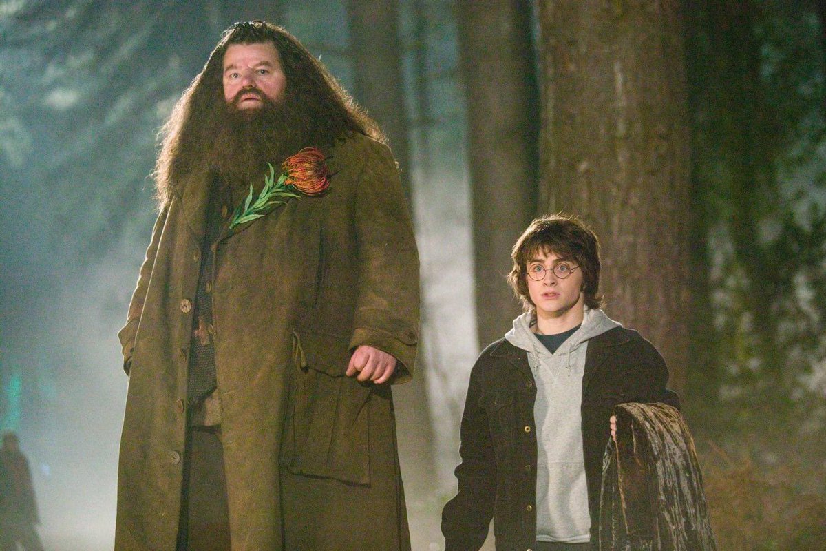 Ebruukafali's tweet photo. #hagrid 🖤 https://t.co/di0eVRQVH7