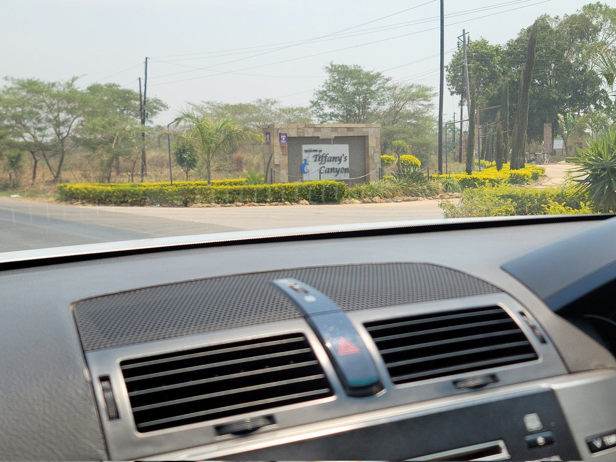 Tiffany Young tweet media