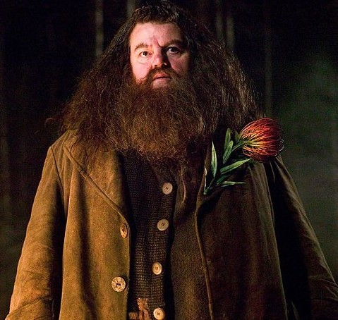 jardin_de_papi's tweet photo. Bonsoir les jardinier, nous apprenons ce soir le décès de l'acteur Robbie Coltrane, que nous connaissons beaucoup pour son interprétation du plus adorable des demi-géant: Hagrid ! Dans la saga Harry Potter. #RIPAlways 🧙♂️🧹⚡️ https://t.co/GlBIn28gXO
