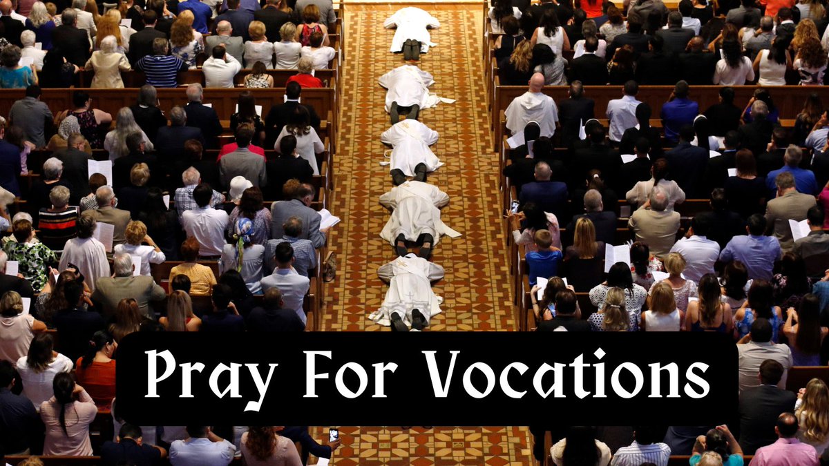 RVCDioceseCMA's tweet photo. Please pray that young men and women hear and respond generously to the Lord's call to the priesthood, diaconate, religious life, societies of apostolic life, or secular institutes.
#Vocations #Priesthood #DRVC https://t.co/DGxDw7Mti5