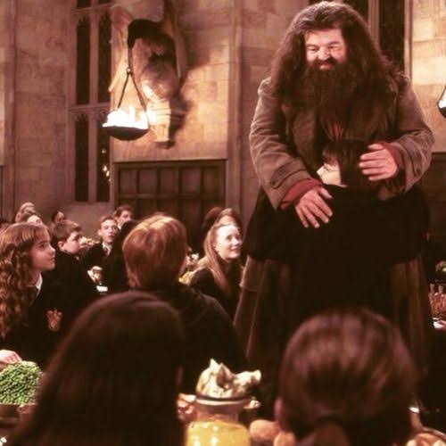 rajaramparab10's tweet photo. There's no Hogwarts without you, Hagrid'

हॅरी पॉटर...आणि त्याच्या या दुनियेत तुझ्या शिवाय मज्जा नाय राव !! हजार वेळा पाहिला असेल हॅरी पॉटर पण... हॅग्रिड तू हवाच !! 

#MissUHagrid #म #मराठी @MarathiRT
#Hagrid #HarryPotter #RobbieColtrane https://t.co/3yzrKaLWSv