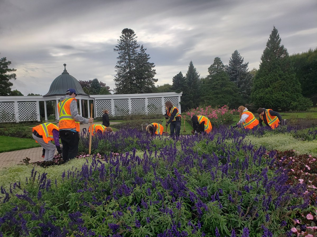 Digit (@dsbndigit) on Twitter photo Dig It students did an amazing job at <a href="/niagaraparks/">Niagara Parks</a> school of Horticulture working in the rose garden annual beds! Dig It students did an amazing job at <a href="/niagaraparks/">Niagara Parks</a> school of Horticulture working in the rose garden annual beds!
