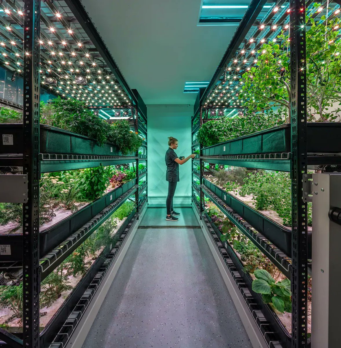 Hellenic_Group's tweet photo. The #foodsystem with all of its various #stakeholders is an integral part of the urban ecosystem. To make smart cities, we see enchanting futuristic #verticalfarming concepts making cities green.
#FridayFarming #VerticalAgriculture #FutureofFarming
https://t.co/cIrMAuOv9y https://t.co/gZ1ChVvpdq