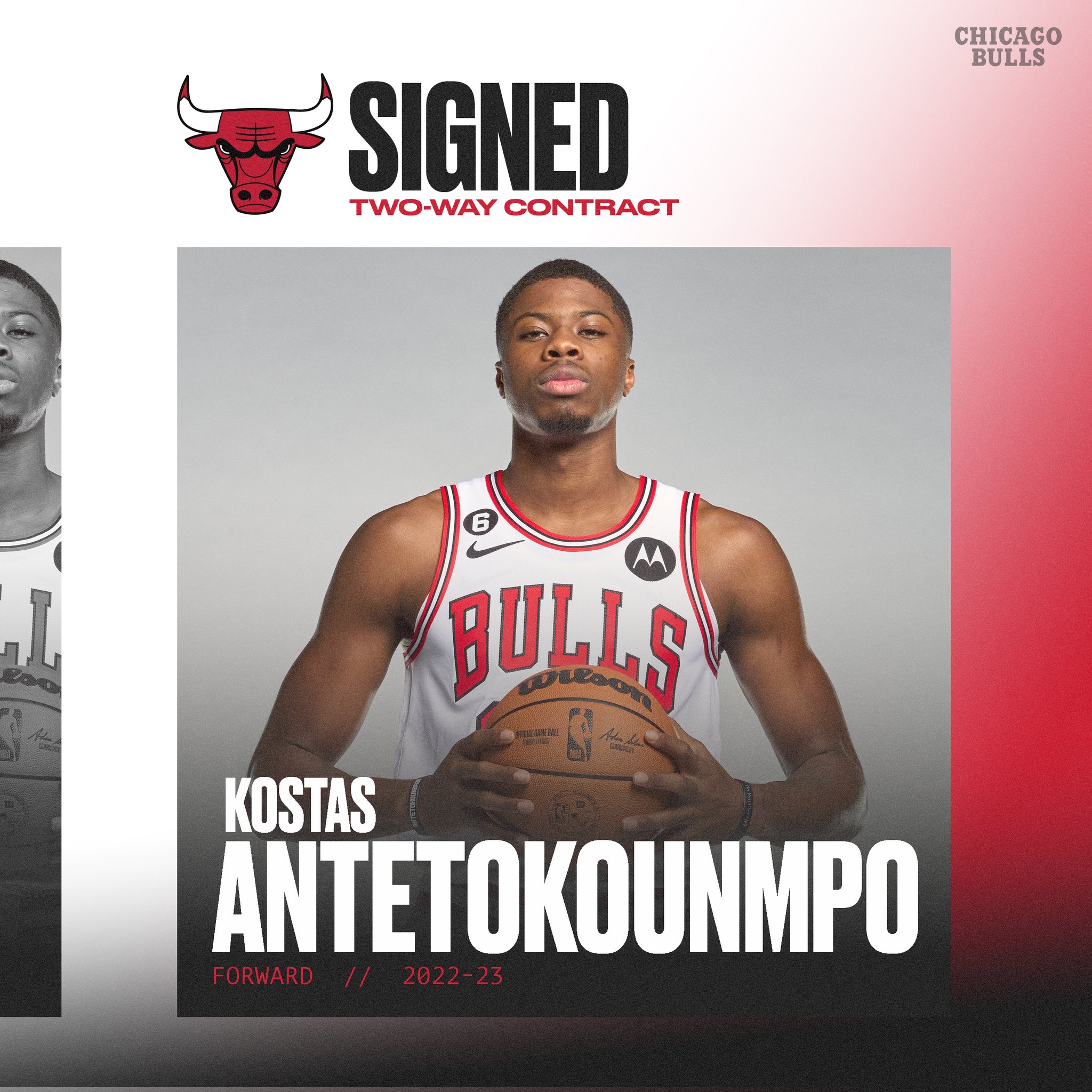 The Chicago Bulls may be interested in signing Kostas Antetokounmpo!!! 
