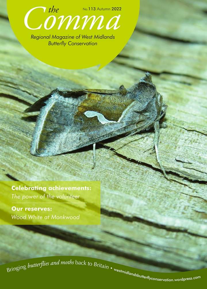 The autumn issue of The Comma has been posted to members today. Published 3 times a year its packed with great articles plus news of events and other activities. Free of charge to BC members living in our region. Not yet a member ? Why not go to butterfly-conservation.org and join.