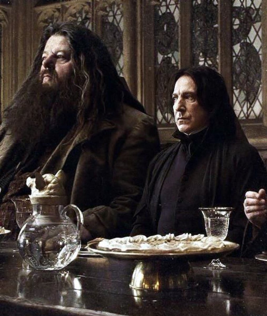 Hagrid ve Severus Snape artık yanyanalar 🤧
#HarryPotter #Hagrid #severussnape