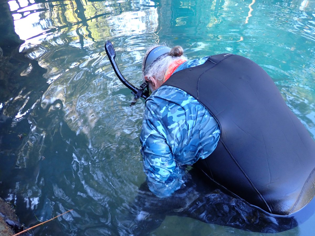 Caitlin Sweeney tweet media