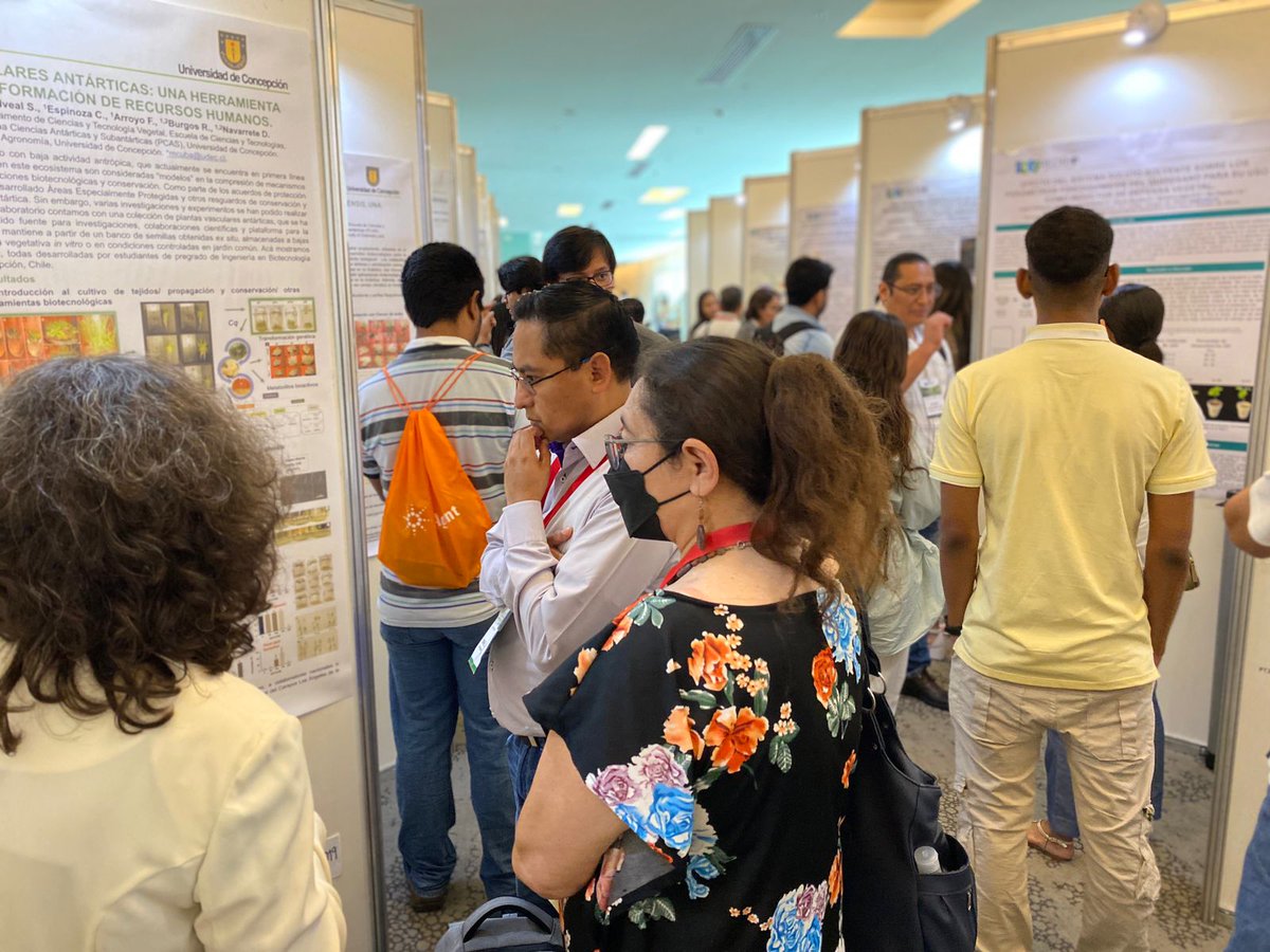 RedBioOficial's tweet photo. Sesión de pósters en el #Congreso #RedBio 👨‍🔬👩‍🔬

#REDBIO2022 https://t.co/gordd7MeZf