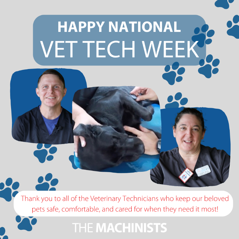 IAM_Union's tweet photo. #NationalVetTechWeek has a whole new meaning for us since we gained 130+ veterinary workers at VSES, @VSESEmployees! 🐾⚙️❤️ https://t.co/2zmNWUPnvt