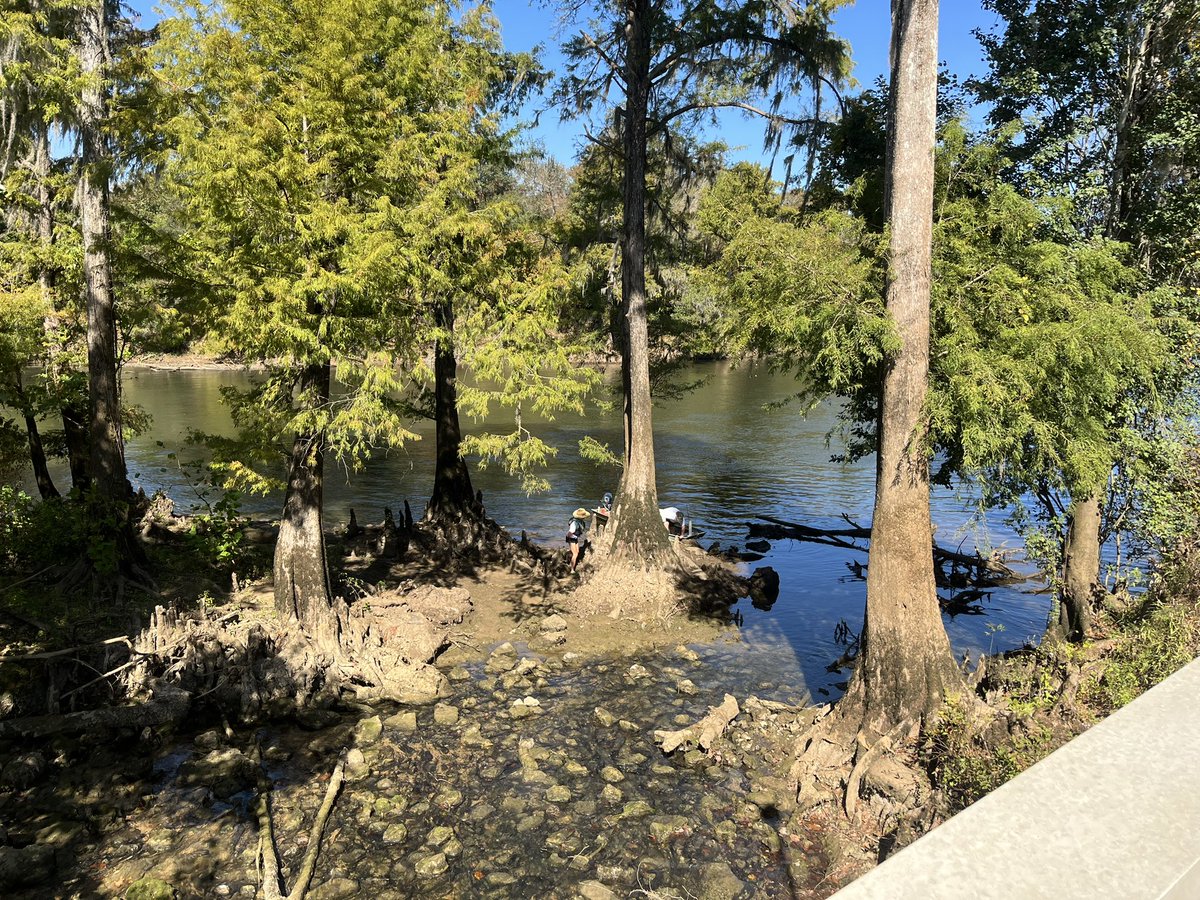 Caitlin Sweeney tweet media