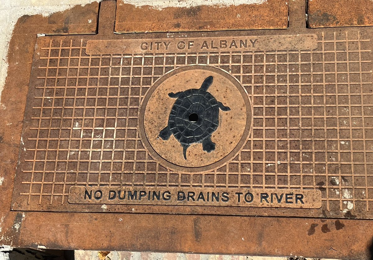 Caitlin Sweeney tweet media