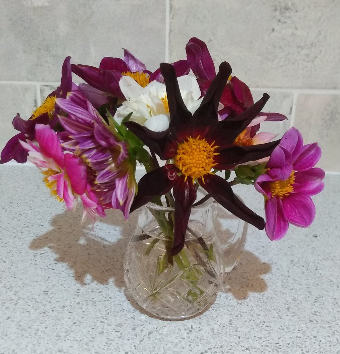 Celiawood18's tweet photo. Freshly picked flowers for #whatsinyourvase just before the rain started. โ๏ธ๐๐ฟ
๐ธ๐ต๏ธ๐บ๐๐ธ๐ต๏ธ๐บ๐งก๐ธ๐ต๏ธ๐๐ธ
#Whatsinyourvase #FlowersonFriday #dhalias #rudbeckia #pineapplelily
@FopianoJoy @katefromcambs @jillbrown231 @astorey43 @GabyLynch9 https://t.co/oHPxV8nWrS