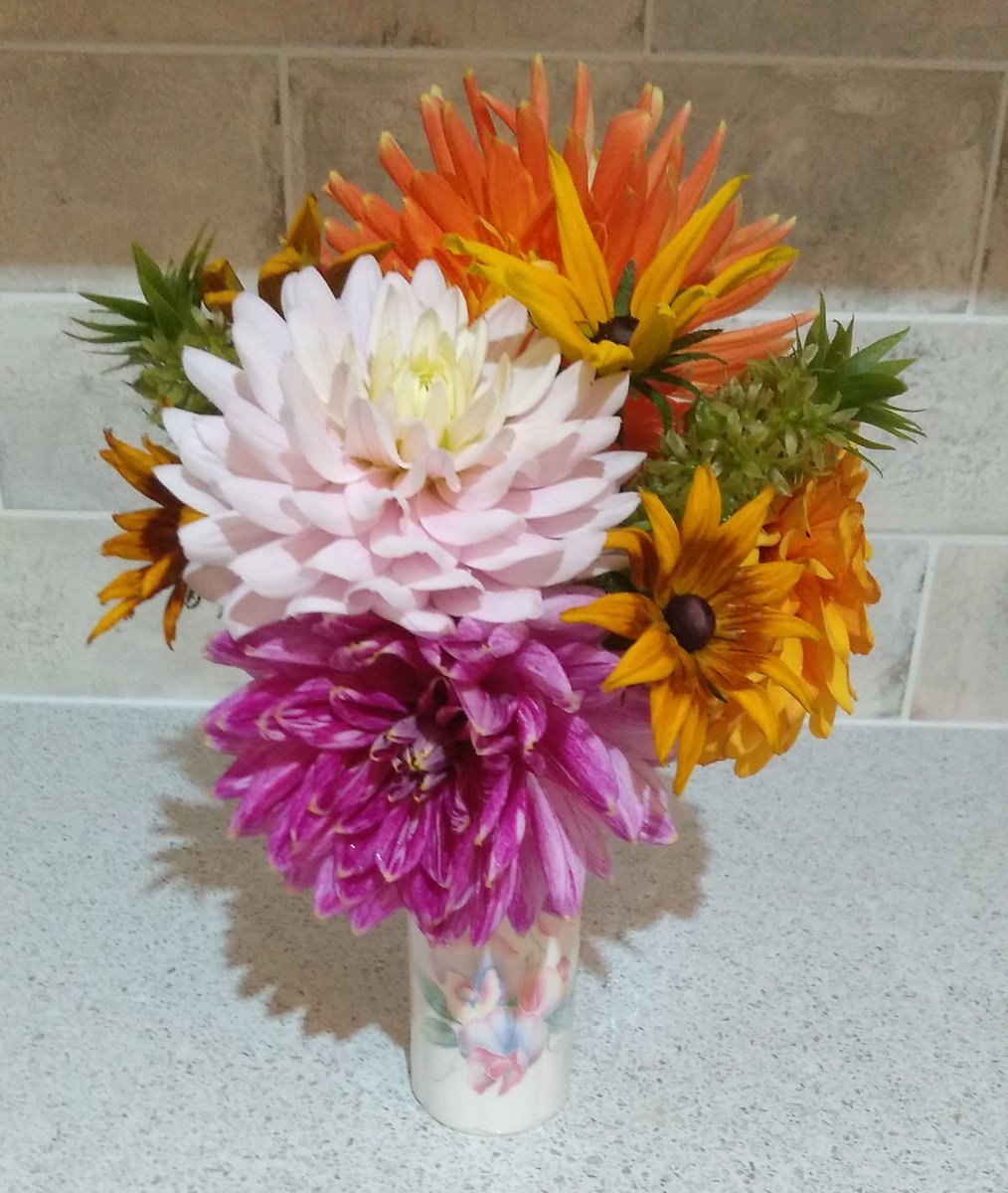 Celiawood18's tweet photo. Freshly picked flowers for #whatsinyourvase just before the rain started. โ๏ธ๐๐ฟ
๐ธ๐ต๏ธ๐บ๐๐ธ๐ต๏ธ๐บ๐งก๐ธ๐ต๏ธ๐๐ธ
#Whatsinyourvase #FlowersonFriday #dhalias #rudbeckia #pineapplelily
@FopianoJoy @katefromcambs @jillbrown231 @astorey43 @GabyLynch9 https://t.co/oHPxV8nWrS