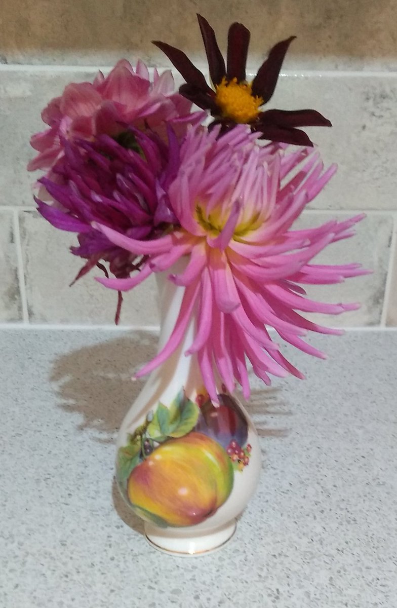 Celiawood18's tweet photo. Freshly picked flowers for #whatsinyourvase just before the rain started. โ๏ธ๐๐ฟ
๐ธ๐ต๏ธ๐บ๐๐ธ๐ต๏ธ๐บ๐งก๐ธ๐ต๏ธ๐๐ธ
#Whatsinyourvase #FlowersonFriday #dhalias #rudbeckia #pineapplelily
@FopianoJoy @katefromcambs @jillbrown231 @astorey43 @GabyLynch9 https://t.co/oHPxV8nWrS