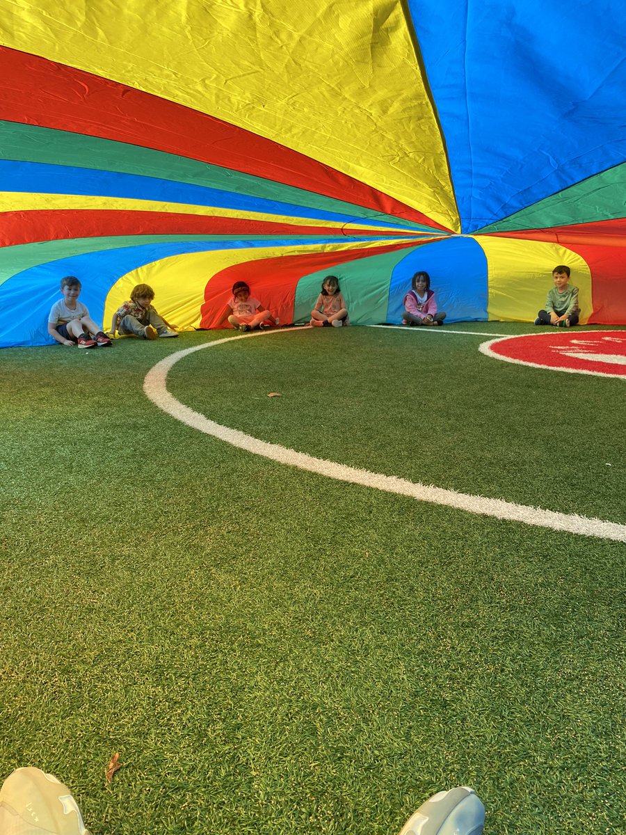 Roy Mitchell tweet media