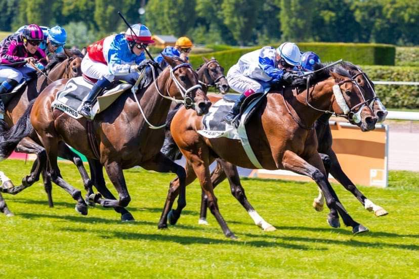 european_shf's tweet photo. Up next is Jenny Langhard ๐๐ผ
Currently, I am travelling to many countries to ride in races and am able to gain experience in racing around the globe
Check out the full bio๐
https://t.co/068EDSnUly
The Student Derby is back @curraghracecourse October 26 ๐
#ESHF #studentderby https://t.co/ZhPOFVdLSg