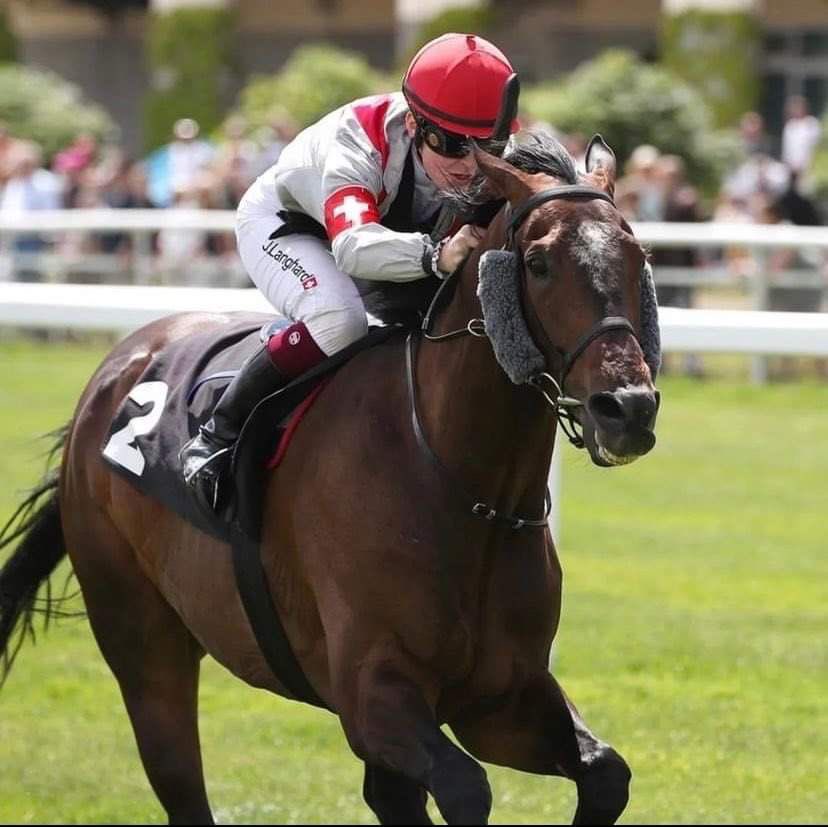 european_shf's tweet photo. Up next is Jenny Langhard ๐๐ผ
Currently, I am travelling to many countries to ride in races and am able to gain experience in racing around the globe
Check out the full bio๐
https://t.co/068EDSnUly
The Student Derby is back @curraghracecourse October 26 ๐
#ESHF #studentderby https://t.co/ZhPOFVdLSg