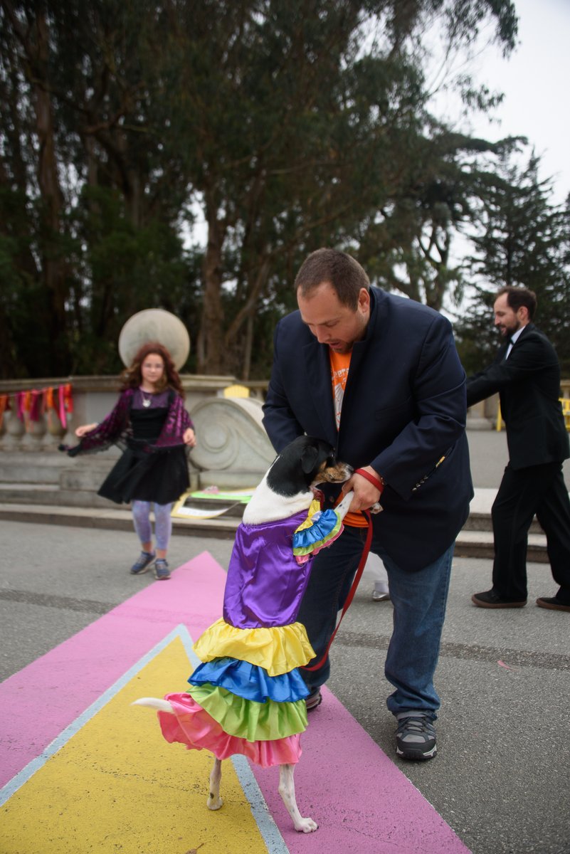 ehuston101's tweet image. Vote yes on J, 'm'kay? 
Prom on the Prom with all you beautiful people is why.