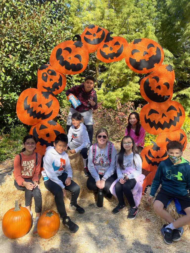 Brittany Stang tweet media