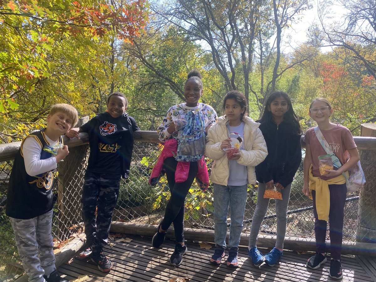 Brittany Stang tweet media