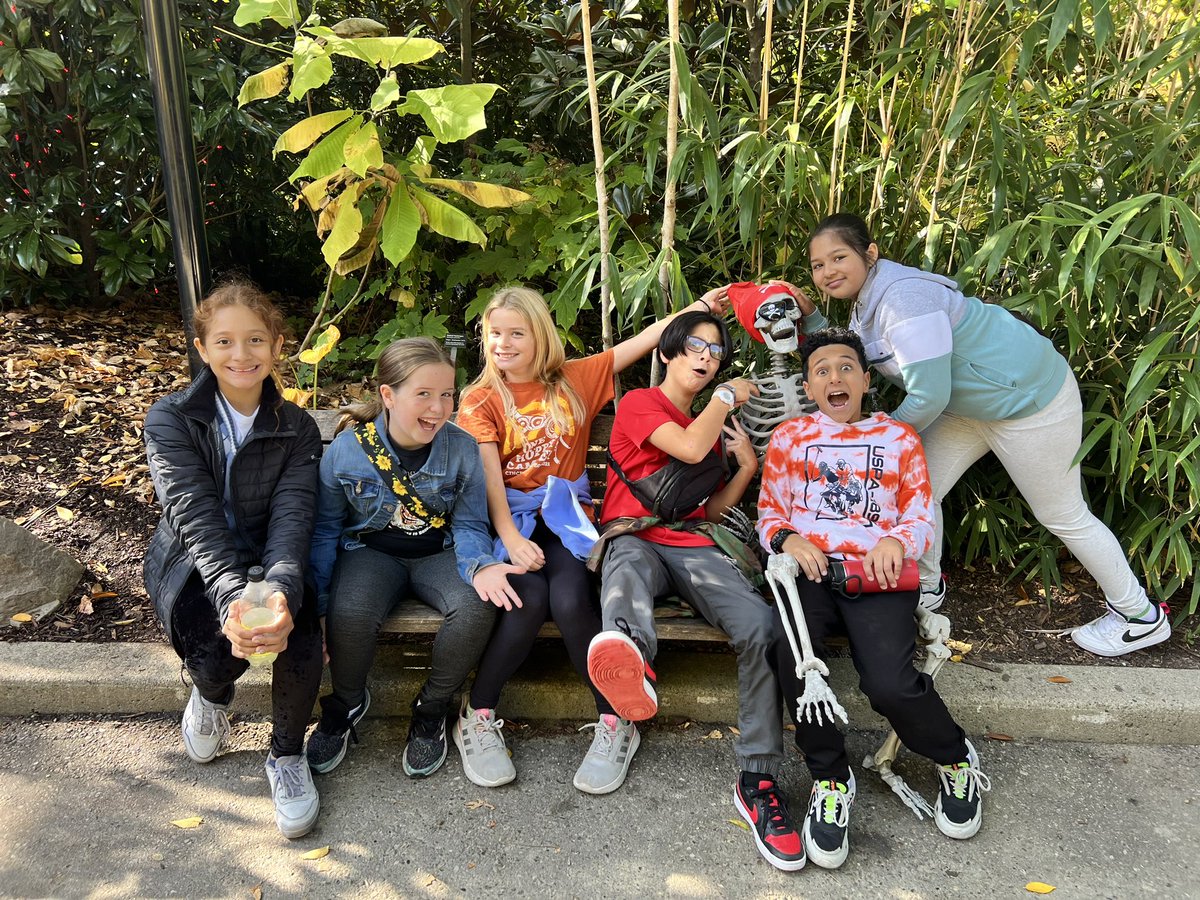 Brittany Stang tweet media