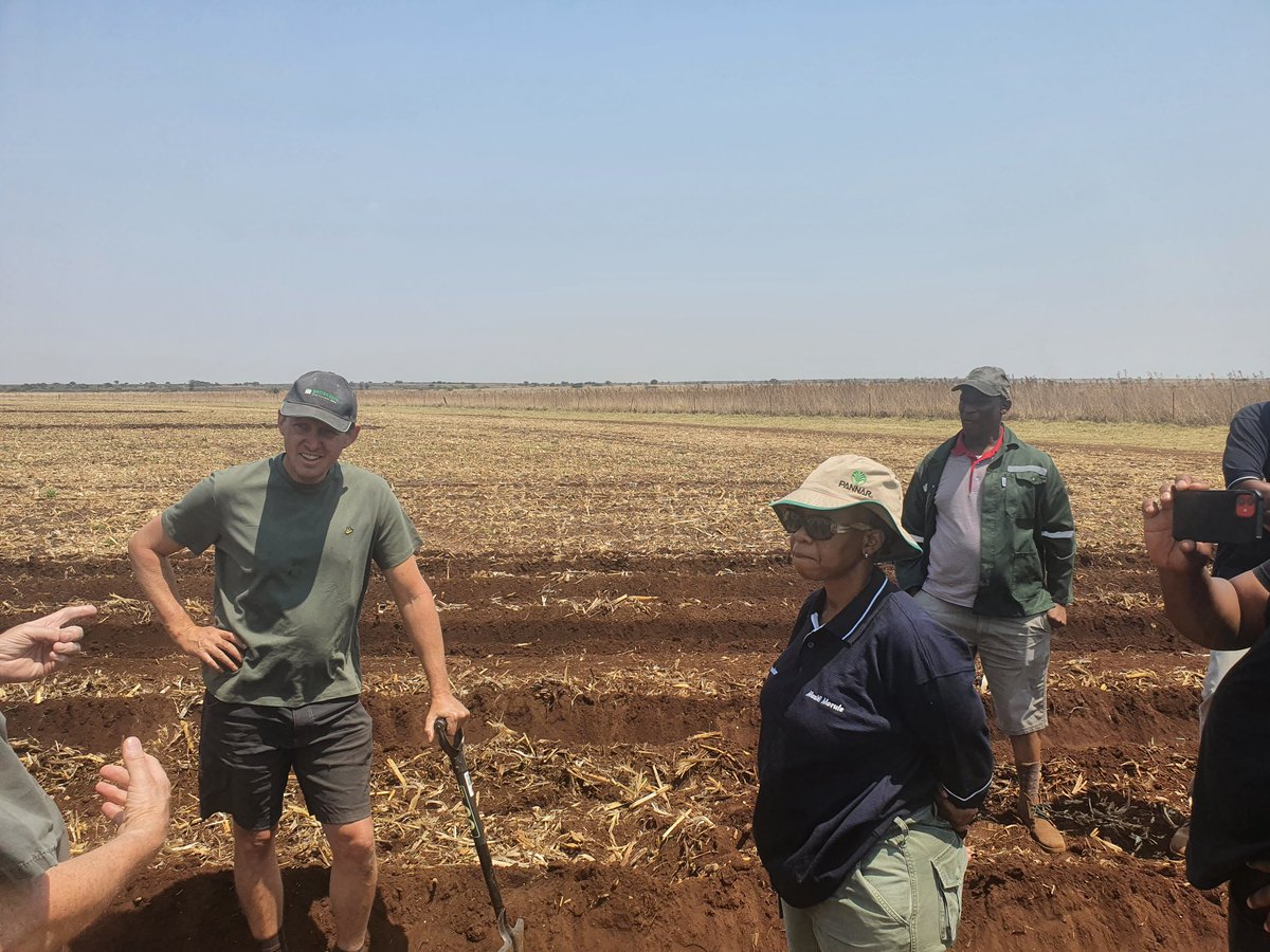MatsaunyaneBame's tweet photo. @nwpg_dard smallholder potato farmers accompanied by @ARCSouthAfrica researchers visiting a commercial potato farmer to learn more about commercial potato production, in preparation for the their second potato season
#BokgoniBophirima #SmallholderFarmerDevelopment https://t.co/o5P39t3p3n