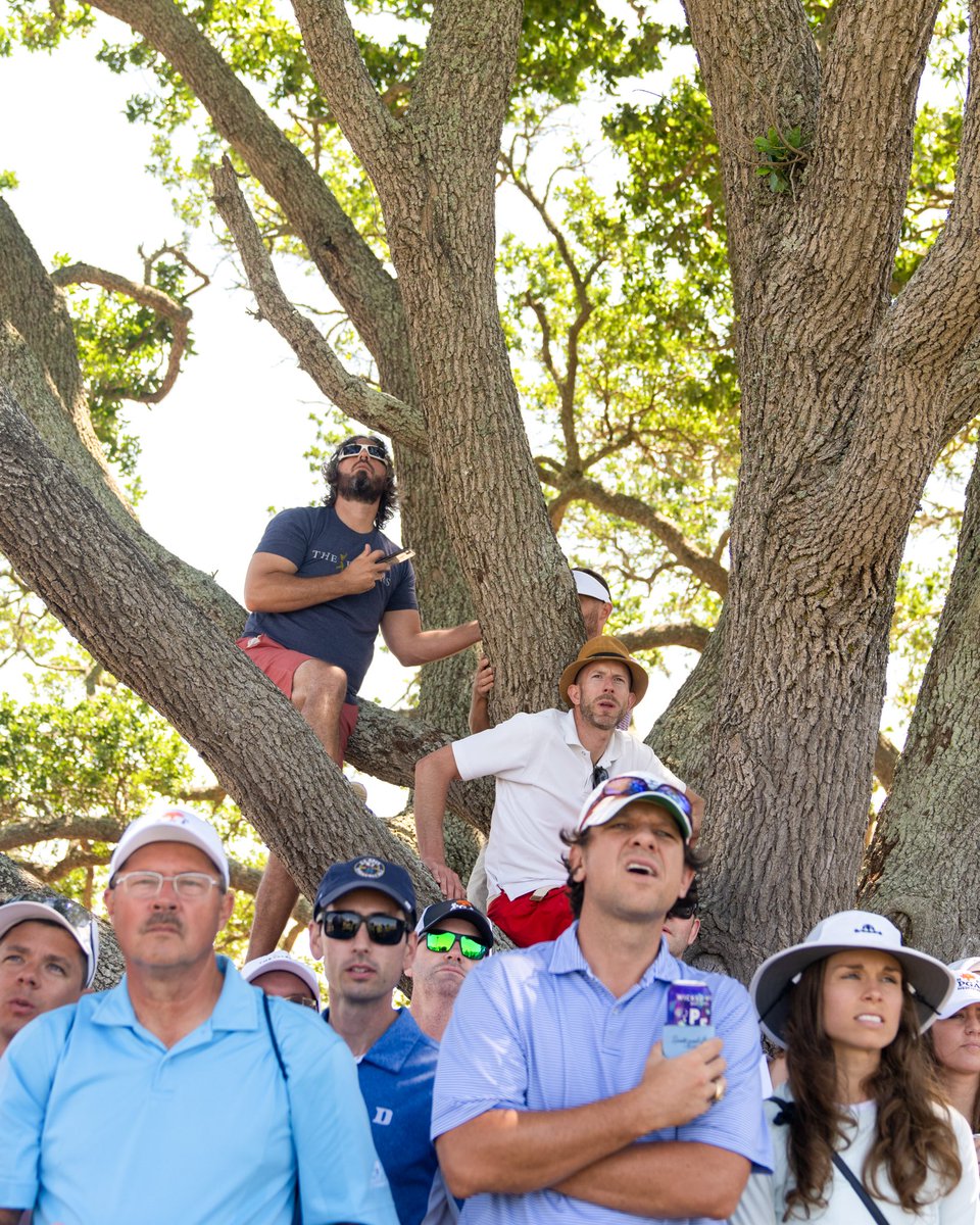 Caption this. 😅 #FanFriday | #PGAChamp