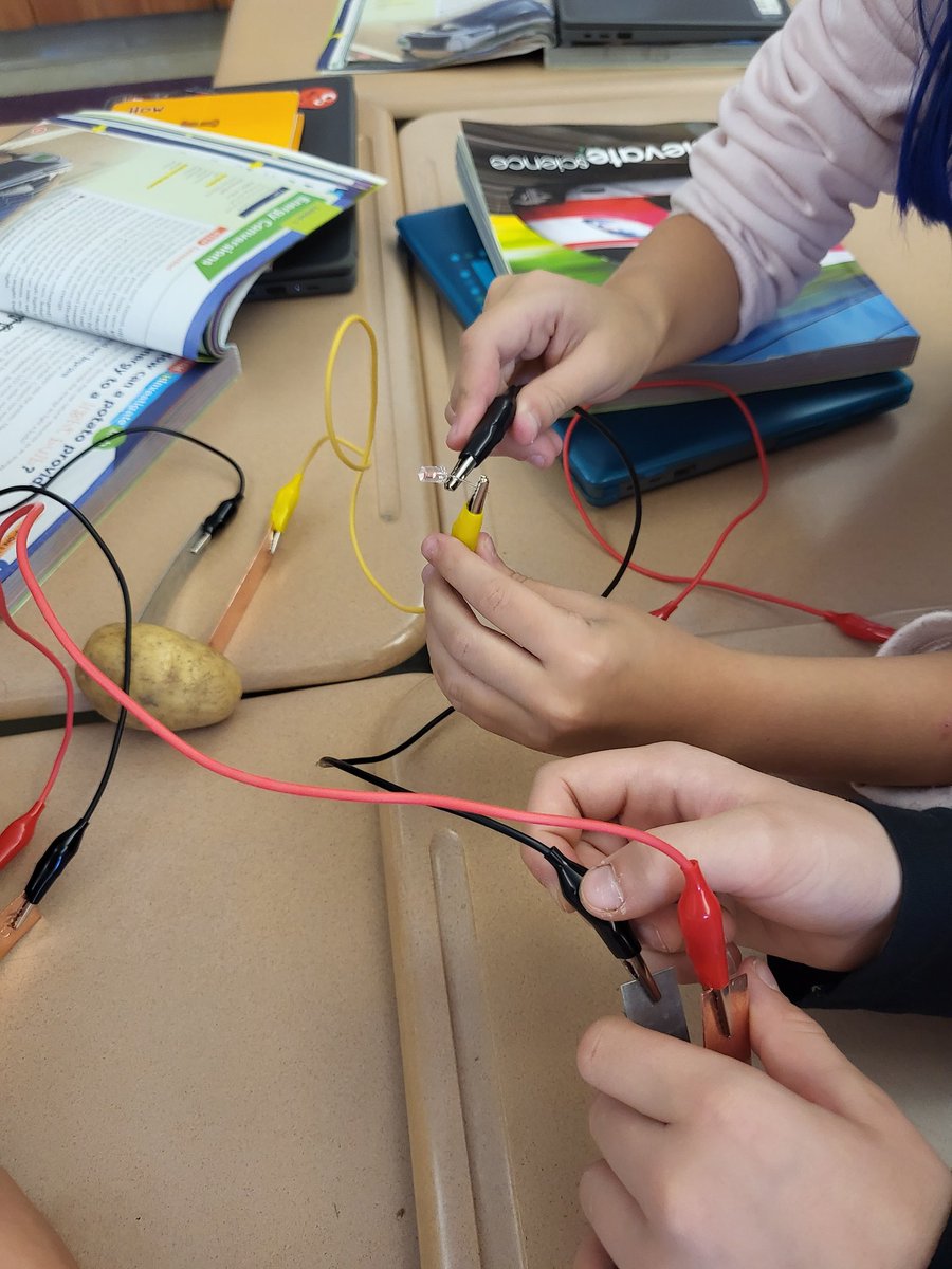 4th grade making circuits with potatoes.