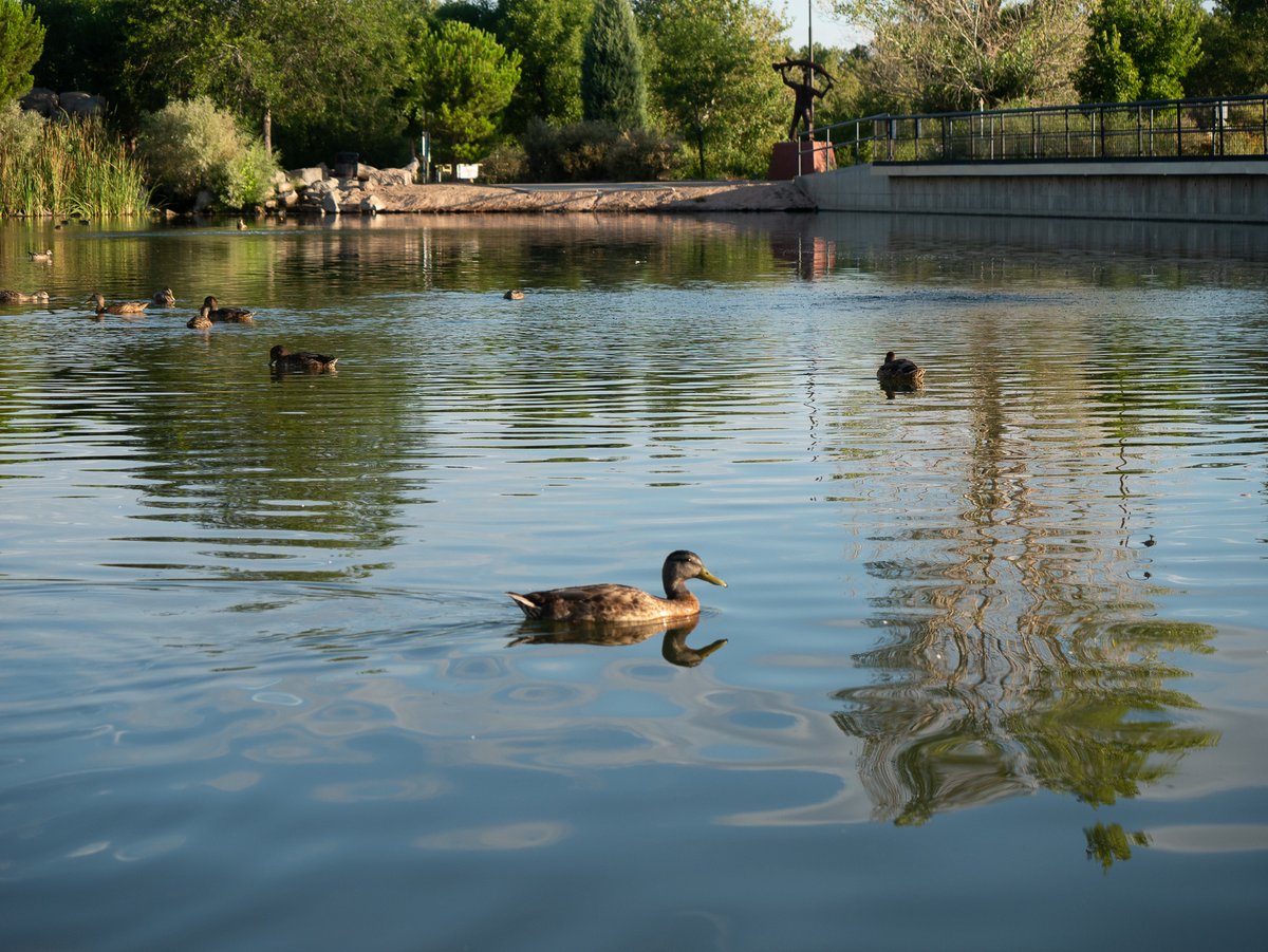 ABQ BioPark tweet media
