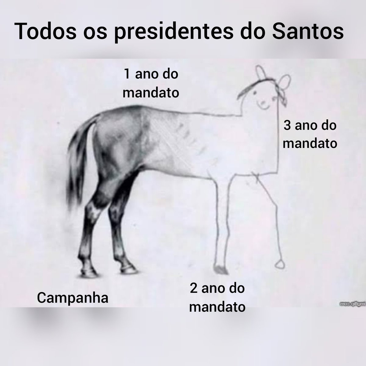 Renan Pinheiro 🇨🇴 🐋 tweet media