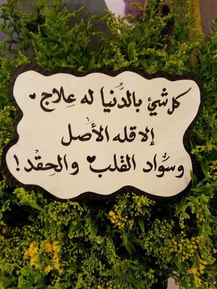 amosama552's tweet photo. https://t.co/QkXc0W0hZg