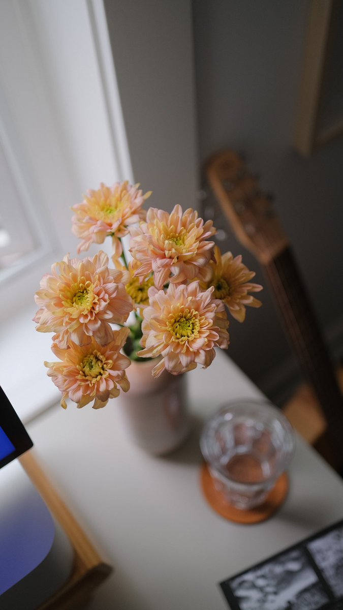 Levin Dixon tweet media