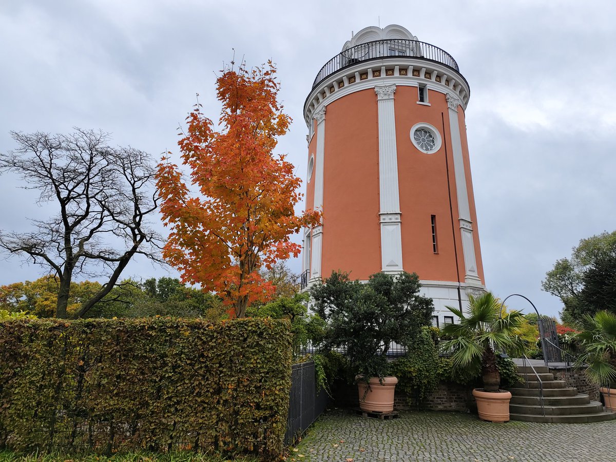 Farblich passend zum Elisenturm hat sich der Ahorn sein neues Blätterkleid 
übergeworfen. 🍁
#Wuppertal #BotanischerGarten #Elisenturm #Herbst #Ahorn #Hardt