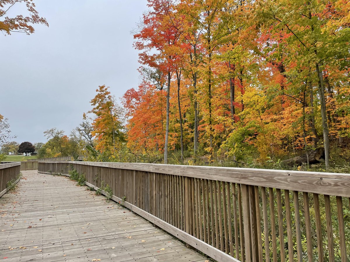 tim carls tweet media