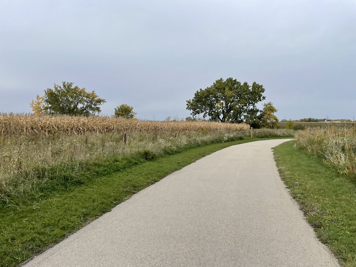 tim carls tweet media