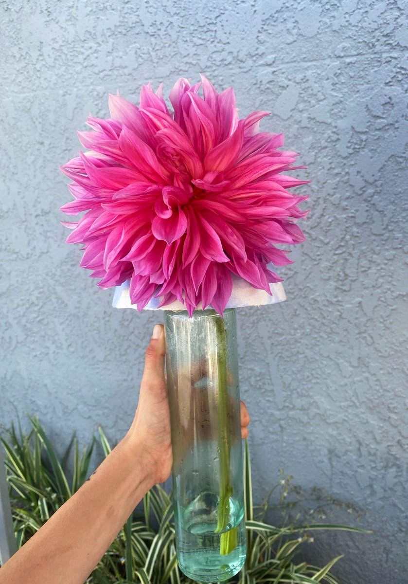 grateful 4 lifeeee💓💖💘!!!!