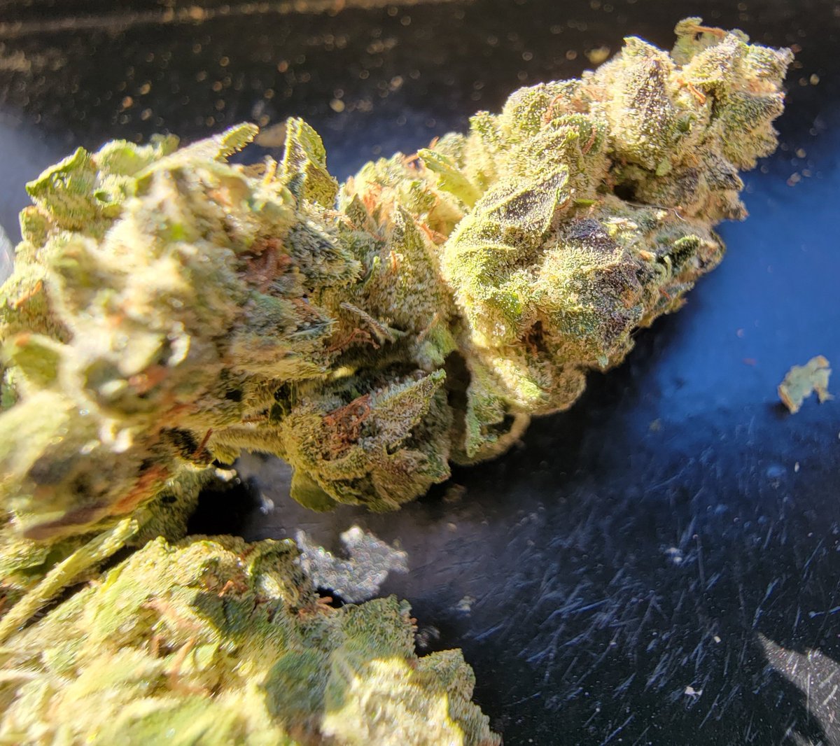DevilBurnsTrees's tweet photo. First up let's talk about the lowest price Heady on the menu: Cherry Diesel

Nugs are on the airy/dense side, nose is accurately pungent - as is the flavor! The high was absolutely enjoyable, fit leafly's profile quite well. At the price, just wowow 🔥 @DabsSci 

#cannfam https://t.co/wEy0rQEaNt