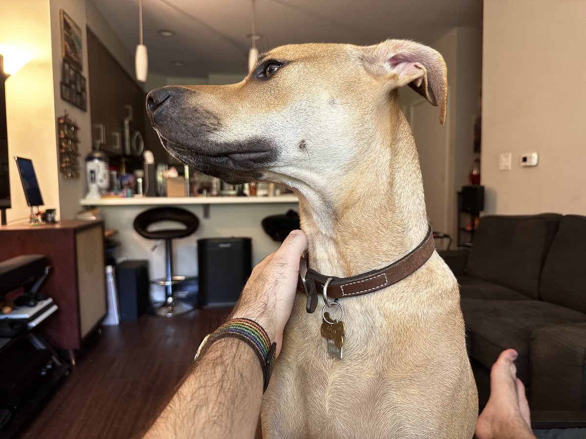 BenTheElder's tweet photo. Bobby says it's time for the weekend https://t.co/QVfH312dyy