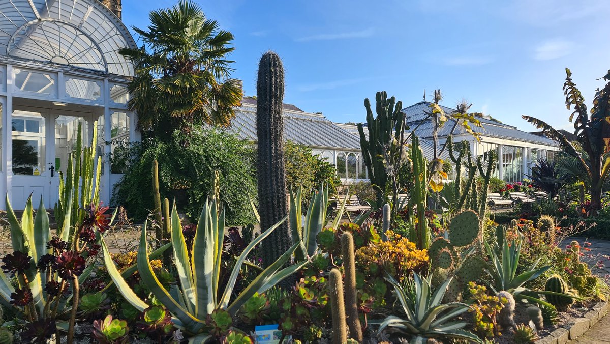 christophhowell's tweet photo. The succulents display on The Loudon Terrace @BhamBotanicalGd will be heading inside for winter soon. @beorma and helpers will have their work cut out. https://t.co/axxFqQ3v6T